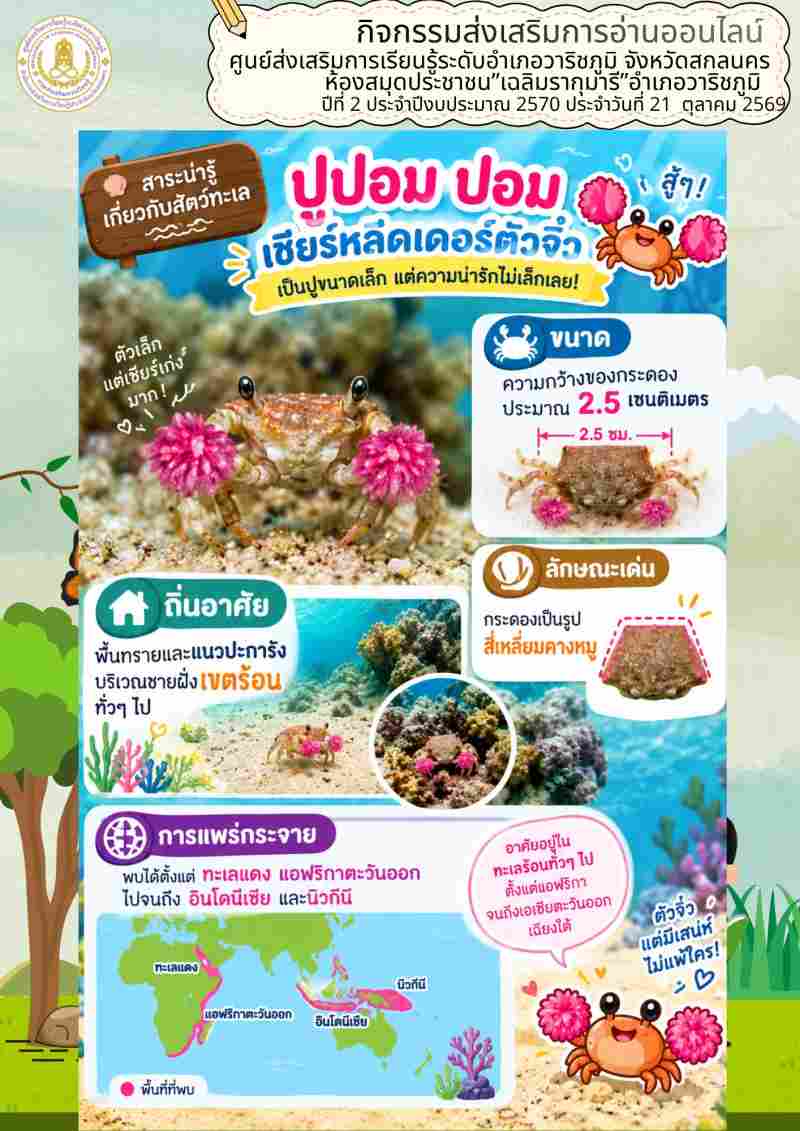 สาระน่ารู้เกี่ยวกับสัตว์ทะเล ปูปอม ปอม เชียร์หลีดเดอร์ตัวจิ๋ว