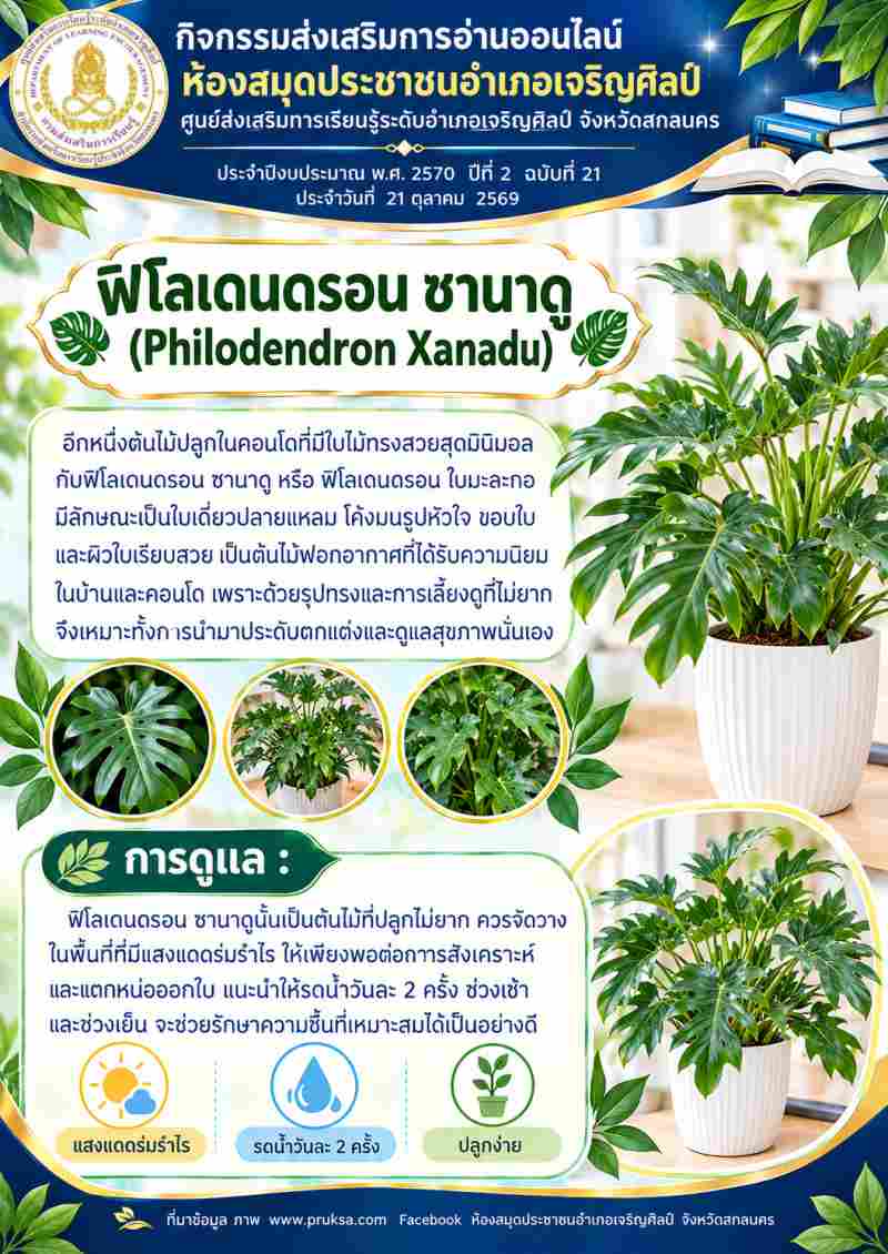 ฟิโดเดนดรอน
