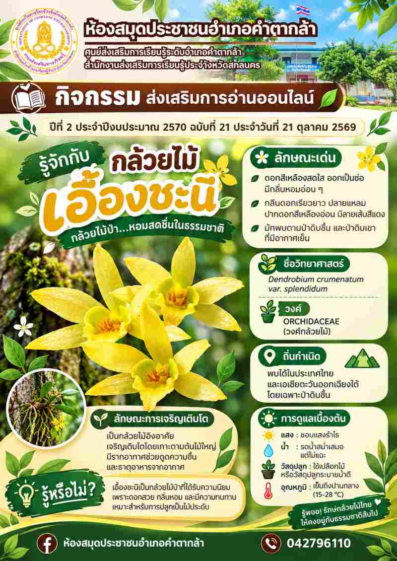 กล้วยไม้ “เอื้องชะนี”