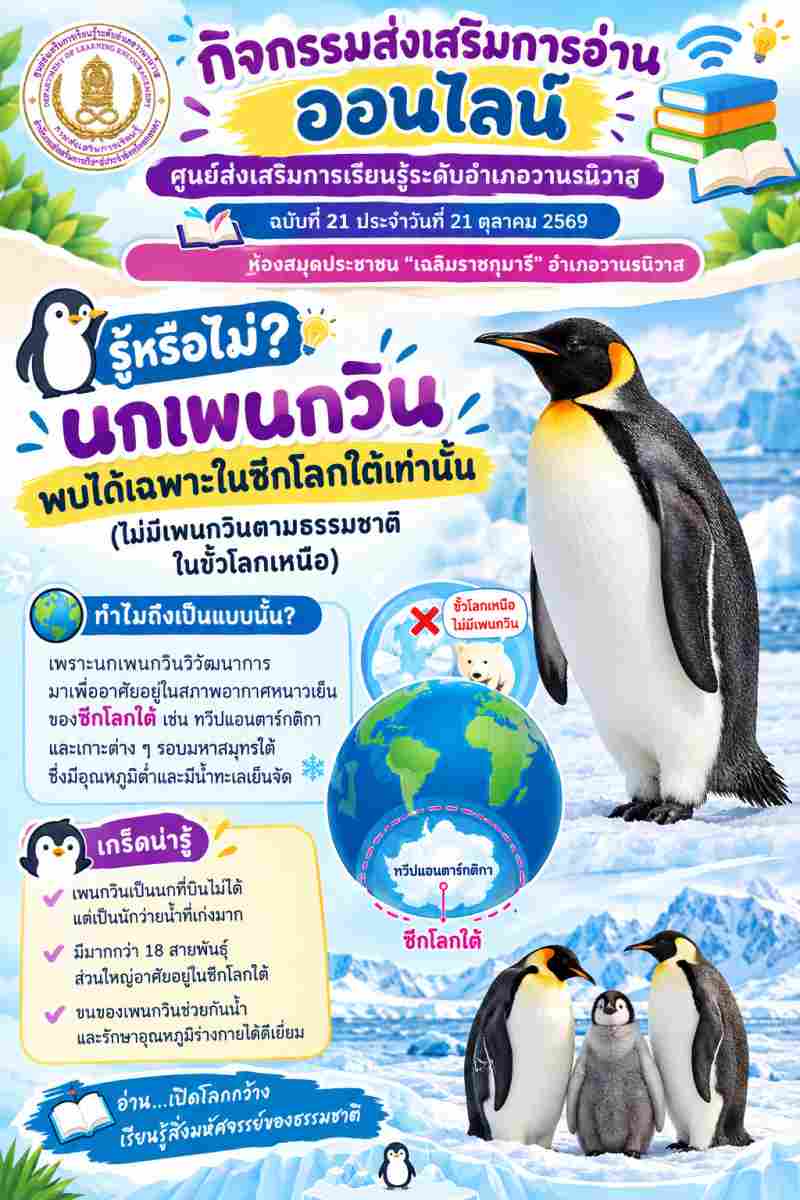 นกเพนกวิน