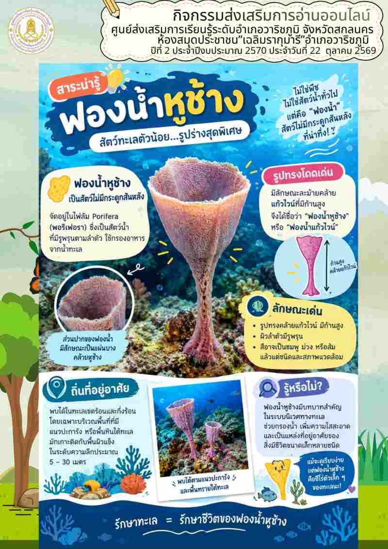 สาระน่ารู้ ฟองน้ำหูช้าง สัตว์ทะเลตัวน้อย...รูปร่างสุดพิเศษ