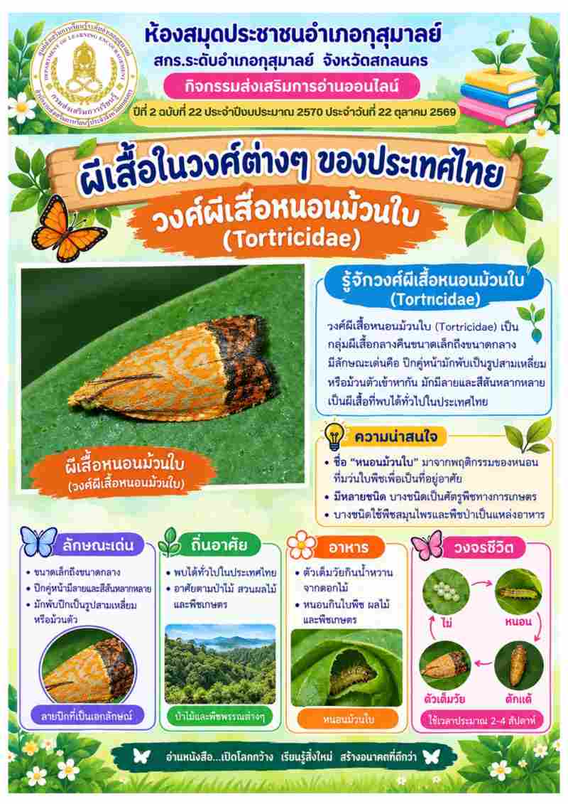 วงศ์ผีเสื้อหนอนม้วนใบ
