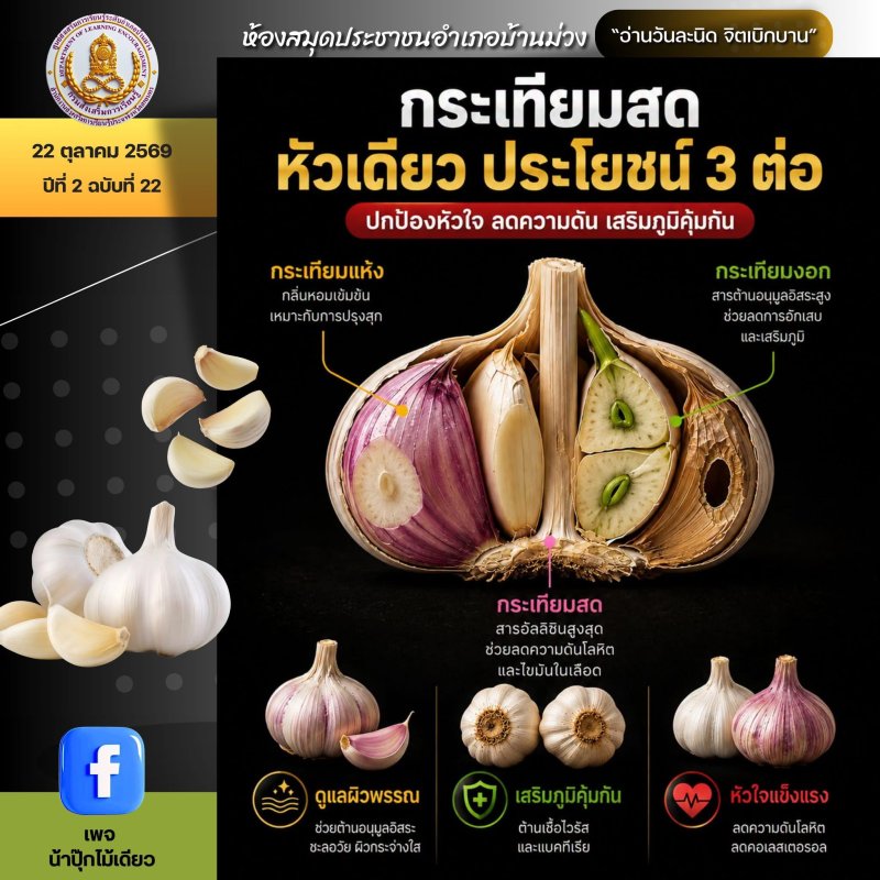 กระเทียมสด หัวเดียว ประโยชน์ 3 ต่อ